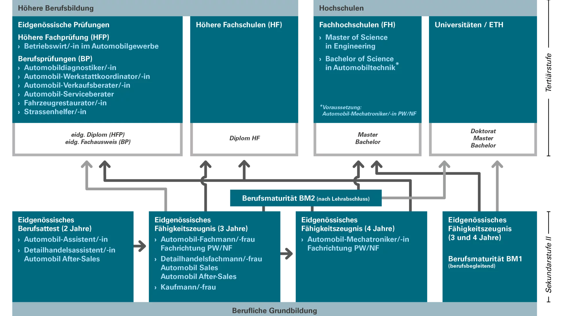 Bildungsgrafik im Automobilgewerbe. Bildungswege von der Grundbildung zu den Weiterbildungen.